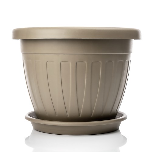 50cm blumentopf mit - blumentopf,