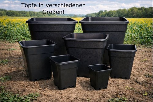 Pflanztopf pflanz kübel 2 - pflanztopf,