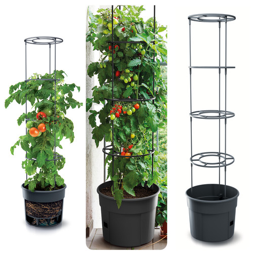Tomatentopf mit rankhilfe - tomatentopf,