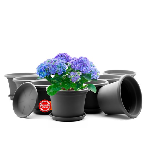 Stück blumentopf mit - 8,