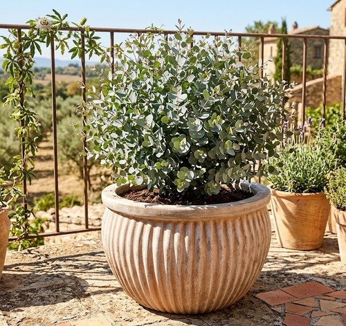 Pflanzkübel blumentopf antik - pflanzkübel,