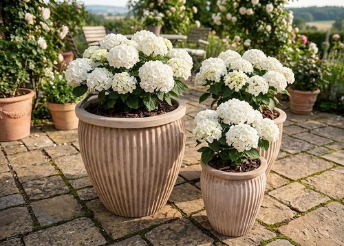 Pflanzkübel vase blumentopf - pflanzkübel,