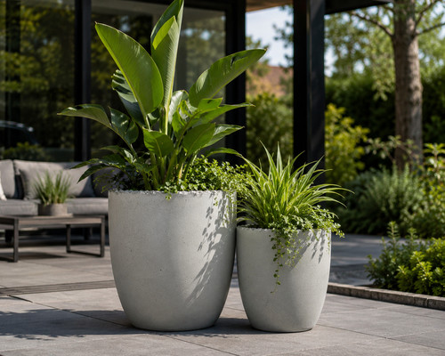Pflanzkübel beton blumentopf - beton,