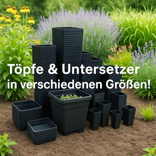 Blumen topf mit untersetzer - blumen, in